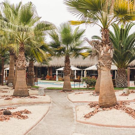 Hotel Serena Suite La Serena Exteriér fotografie